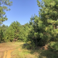 175 Ac Dickson West County Line Rd images 2