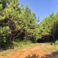 175 Ac Dickson West County Line Rd images 3