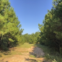 175 Ac Dickson West County Line Rd images 5