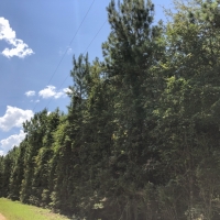 150 Ac Felps Faircloth images 2