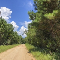 150 Ac Felps Faircloth images 3