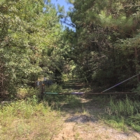 150 Ac Felps Faircloth images 6