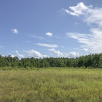 639 Ac CR 4280 Cleveland Worsham images 6