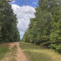 444 Ac Development Opportunity County Line Rd images 2