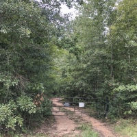 444 Ac Development Opportunity County Line Rd images 3
