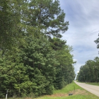 444 Ac Development Opportunity County Line Rd images 6