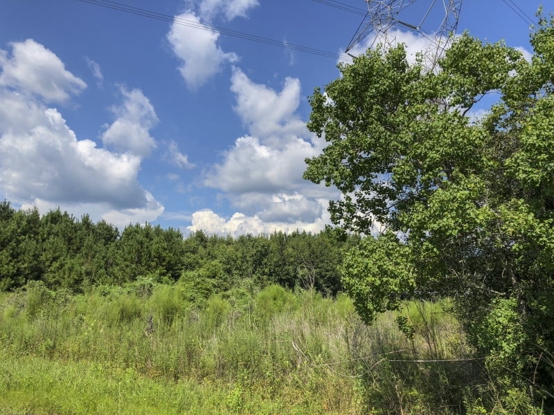 302 Acres &nbsp; Hwy 87 &nbsp; Deweyville featured image