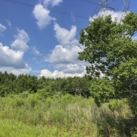 302 Acres &nbsp; Hwy 87 &nbsp; Deweyville