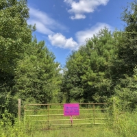 302 Acres &nbsp; Hwy 87 &nbsp; Deweyville images 4