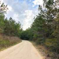 104 Ac &nbsp; Tom Marsh Rd Segno