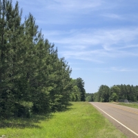 25 Ac SH 63