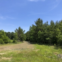 25 Ac SH 63 images 4