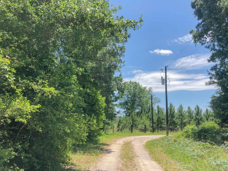 323 Acres &nbsp; Copeland Road &nbsp; Tract 5306 featured image
