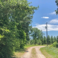 323 Acres &nbsp; Copeland Road &nbsp; Tract 5306