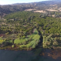 Recreational Ranch &nbsp; Walnut Orchard For Sale in Solano County  CA images 5
