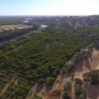 Recreational Ranch &nbsp; Walnut Orchard For Sale in Solano County  CA images 6