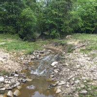 246 Ac Timberline Rd  CR 2317 images 4