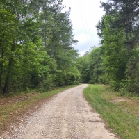 246 Ac Timberline Rd  CR 2317 images 6