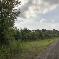 36 Acres &nbsp; Milvid Road images 4