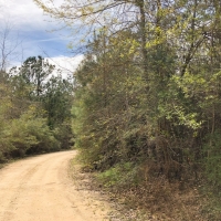 50 Acres CR 3132 images 2