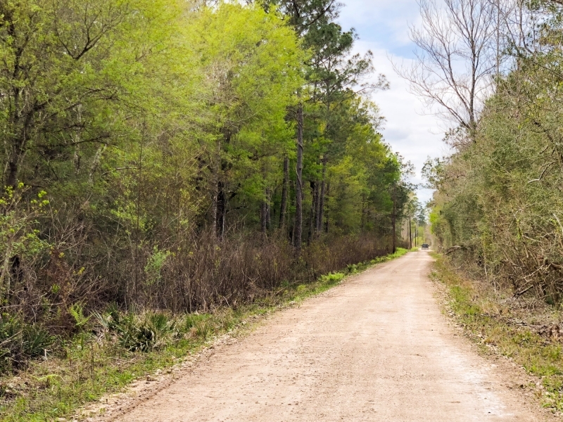 27 Acres CR 3132 featured image