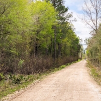 27 Acres CR 3132