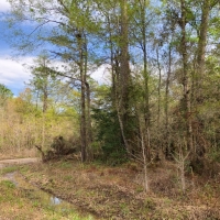 27 Acres CR 3132 images 6