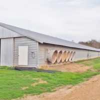 6 House Broiler Poultry Farm 38 Acres Jefferson Co  SW MS images 2