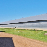 6 House Broiler Poultry Farm 38 Acres Jefferson Co  SW MS images 3