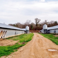 6 House Broiler Poultry Farm 38 Acres Jefferson Co  SW MS images 6