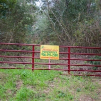 34.117 Ac Simmons Grove Tr 15 images 4
