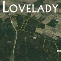 166 Ac &nbsp; Hwy 19