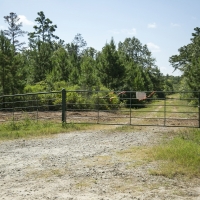 166 Ac &nbsp; Hwy 19 images 6