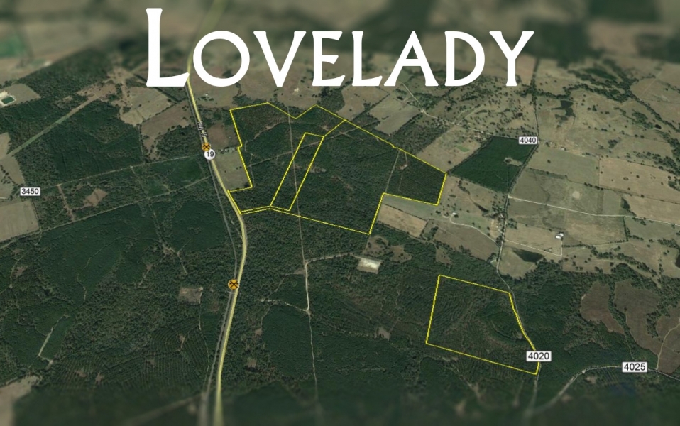 117 Ac &nbsp; Hwy 19 featured image