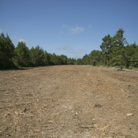 117 Ac &nbsp; Hwy 19 images 5