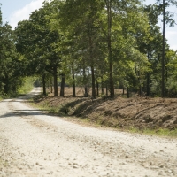 117 Ac &nbsp; Hwy 19 images 6