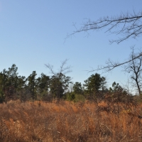 164 Ac Hopewell Road images 2