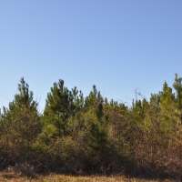 164 Ac Hopewell Road images 5