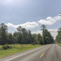 25 Acres FM 247