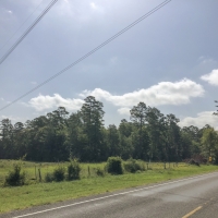 25 Acres FM 247 images 3