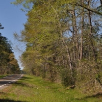 25 Acres FM 247 images 5