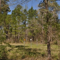 25 Acres FM 247 images 6