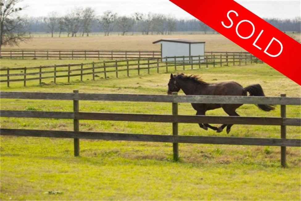 Brazos River Ranch - Sold featured image