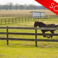Brazos River Ranch - Sold