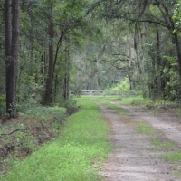 Pintail Plantation images 5