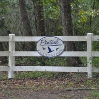 Pintail Plantation images 3