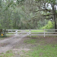 Pintail Plantation images 4
