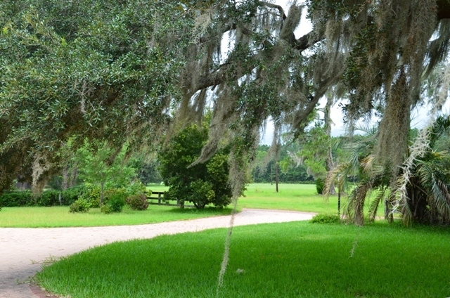 Pintail Plantation featured image