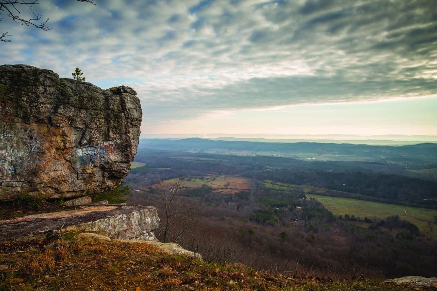 Cloudland Brow Hunting Land for Sale