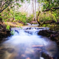 Cloudland Brow images 6